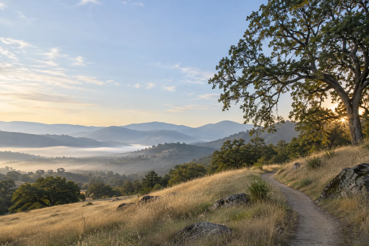Illustrative California foothill landscape with a winding path and oak trees.